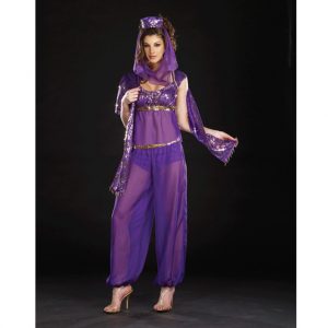 Sexy Genie of the Lamp / Belly Dancer Costume